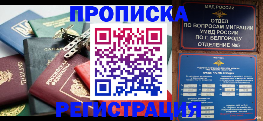 временная регистрация недорого в Долгопрудном